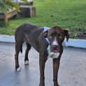 Photo of Roo