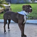 Photo of Roo
