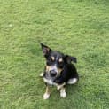 Photo of Bronx