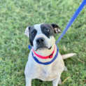 Photo of Dotti
