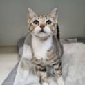 Photo of Oliver