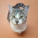 Photo of Cable