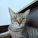 Photo of Rosie