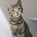 Photo of Tinkerbell