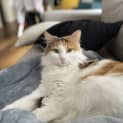 Photo of Kiki