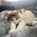 Photo of Kiki