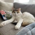 Photo of Kiki