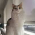 Photo of Kiki