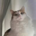 Photo of Kiki