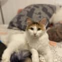 Photo of Kiki