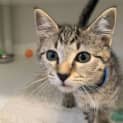 Photo of Thumbelina