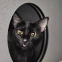 Photo of Snaggle