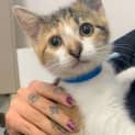 Photo of Pip