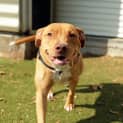 Photo of Nala