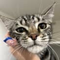 Photo of Skittles