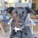 Photo of Tootsie