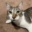 Photo of Xena