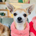 Photo of Glynis