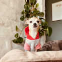 Photo of Glynis