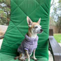 Photo of Glynis