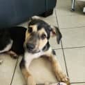 Photo of Bentley