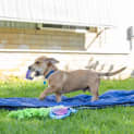 Photo of Doug