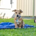 Photo of Doug