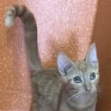 Photo of Sugar
