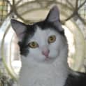Photo of Cici