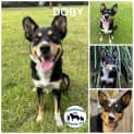 Photo of Doby 