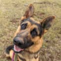 Photo of Axel