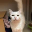 Photo of Snowbi