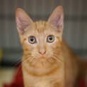 Photo of Sugar