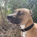 Photo of Zeus