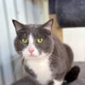 Photo of Milly