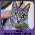 Photo of Helena