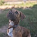 Photo of Eclair