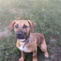 Photo of Eclair