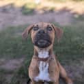 Photo of Eclair
