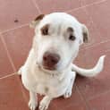 Photo of Kida 