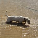 Photo of Kida 