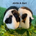 Photo of Airlie & Zari