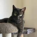 Photo of Milo