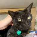 Photo of Milo