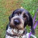 Photo of Shirley