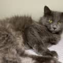 Photo of Breeze