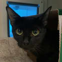 Photo of Lulu