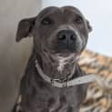 Photo of Milah
