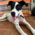 Photo of Jack