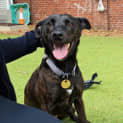 Photo of Lady Nunu